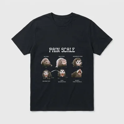 Pain Scale Assessment Opossum Trauma Nurse T-Shirt – Classic T-Shirt in Black