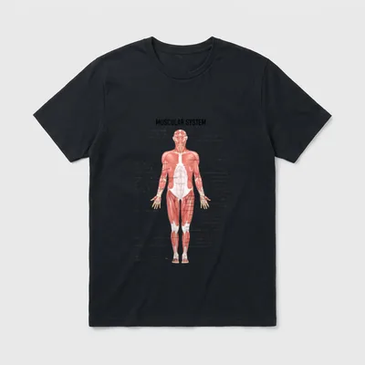 Muscular System Nurse Doctor Funny Med T-Shirt – Classic T-Shirt in Black